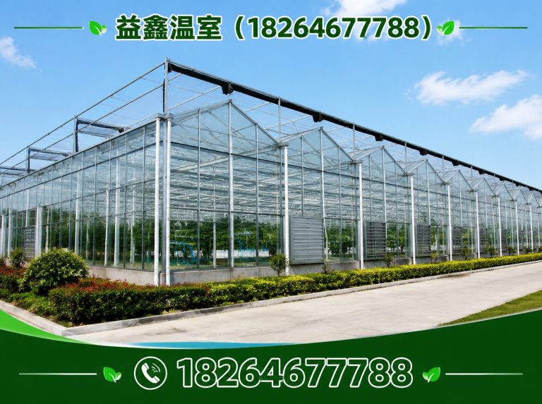 临朐县连栋温室展示图